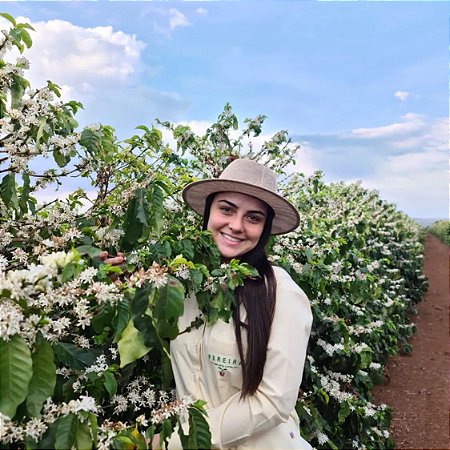 Café Premiado - 4º lugar Concurso Cerrado Mineiro – Natural 250g