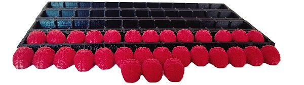 Zombie Dice - Kit de Cérebros e Organizador