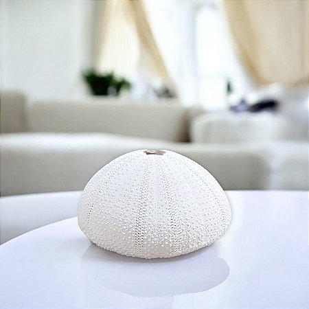 Enfeite Concha de Ouriço Branco em Resina 9x9x4,5