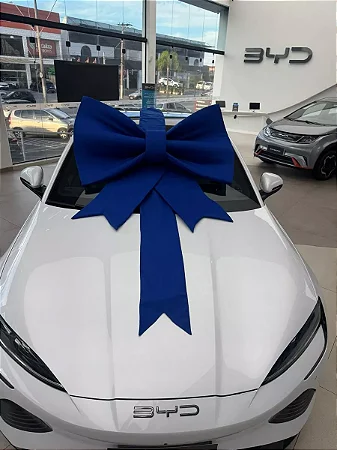 Laço Gigante com faixa para Showroom – Destaque Perfeito para Exposição de Veículos