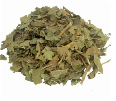 Chá de Bugre