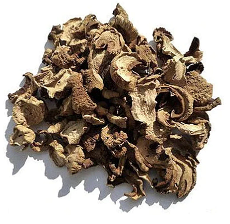 Cogumelo Funghi Seco
