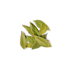 Louro em Folha Turco