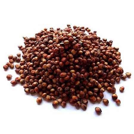 Sorgo em Grão