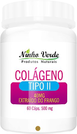 Colágeno Tipo ll 500mg 60 Cápsulas - Ninho Verde