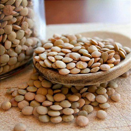Lentilha Verde Canadense (TIPO 01 -NOVA) -  45,36kg