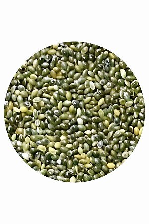 Painço Verde com Casca Nacional - 25kg