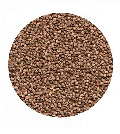 Senha para Pássaros - 40kg