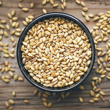 Trigo em Grão (Consumo Humano) -25kg