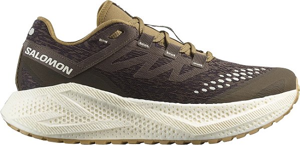 Tênis Salomon Aero Glide 3 GRVL Masculino - Marrom