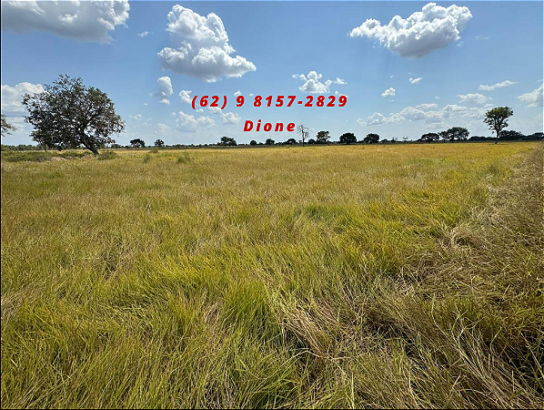 FAZENDA  EM ARUANÃ: 400 alqueires.