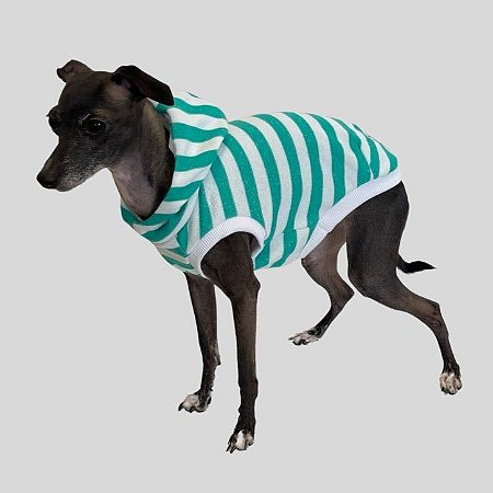 Sob Medida - COLETE DE GALGO MOLETINHO CAP LINE TURQUESA