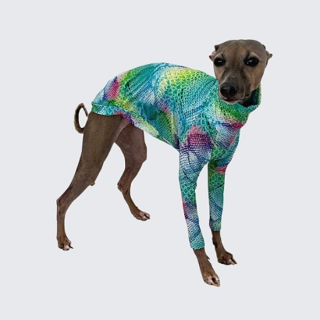 CACHARREL DE GALGO ITALIANO UV ESCAMA