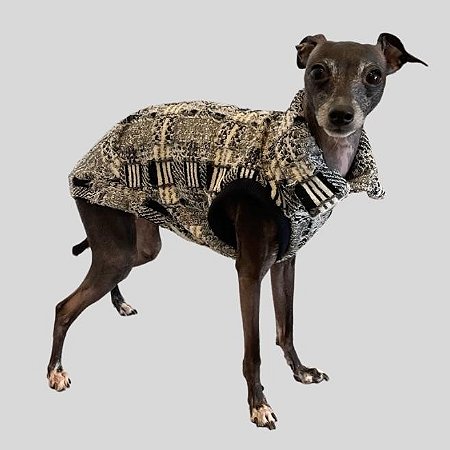 COLETE DE GALGO ITALIANO MILÃO PRETO