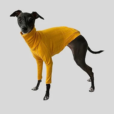 CACHARREL DE GALGO CANELADA AMARELA