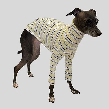 CACHARREL DE GALGO CANELADA CRU LINE BLUE