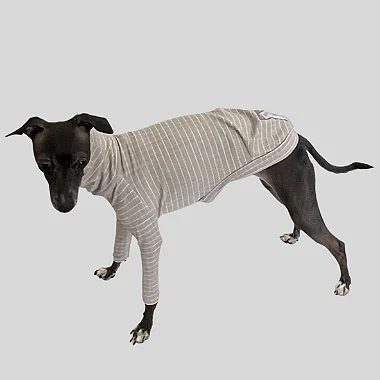 CACHARREL DE GALGO CANELADA LINE AREIA