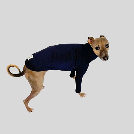 CACHARREL DE GALGO MESH NIGHT