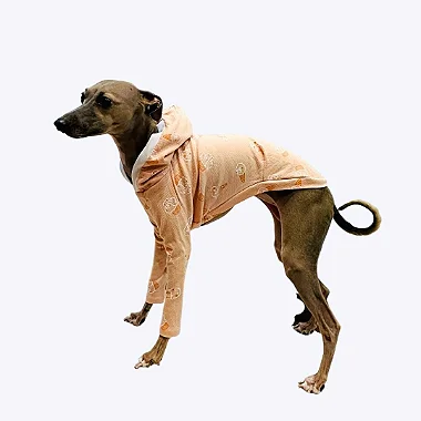 CACHARREL DE GALGO SORVETE
