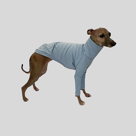 CACHARREL DE GALGO SUE AZUL