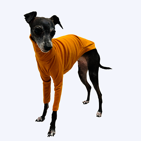 CACHARREL DE GALGO SUE MOSTARDA