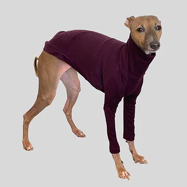 CACHARREL DE GALGO SUE WINE