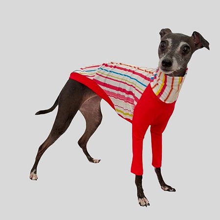 CACHARREL DE GALGO UV LISTRA VERMELHA