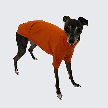 CAMISETA DE GALGO MALHA ALGODÃO CARAMELO