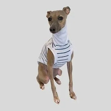 REGATA DE GALGO MOLETINHO LINE BLUE