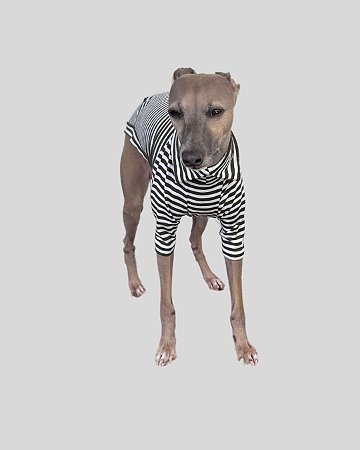 CAMISETA DE GALGO ALGODY LINE VERDE MUSGO