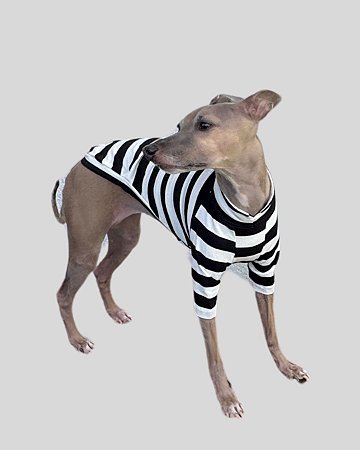 CAMISETA DE GALGO COTTON COOL PRETA