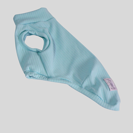 REGATA DE GALGO POLI CAN AGUA