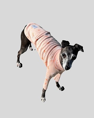 Sob Medida - CACHARREL DE GALGO CONFY SORVETINHO