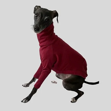 Sob Medida - CACHARREL DE GALGO SUE BORDO