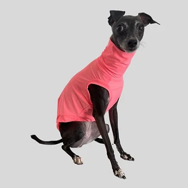 Sob Medida - REGATA DE GALGO UV LARANJA NEON