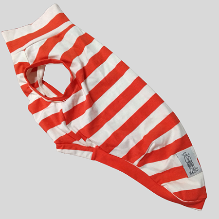 REGATA DE GALGO ALGODY COOL LARANJA E OFF