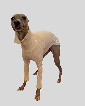 PIJAMA DE GALGO CACHARREL LUME CREME STAR - sob encomenda