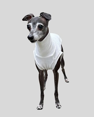 REGATA DE GALGO BRISA BRANCA – sob encomenda