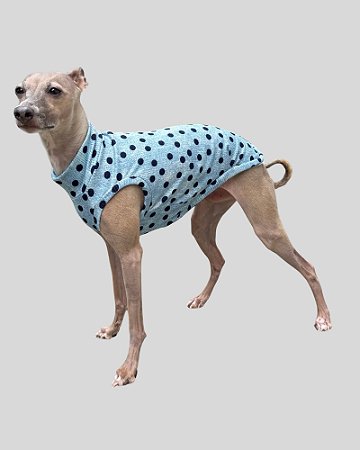 REGATA DE GALGO CAN POÁ AZUL – sob encomenda