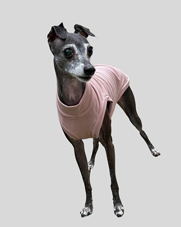 REGATA DE GALGO LUME ROSE – sob encomenda