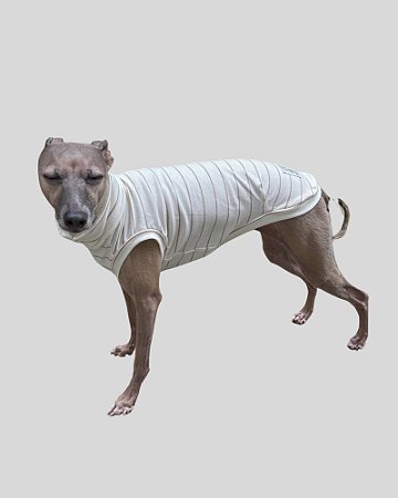 REGATA DE GALGO LINE BEGE – sob encomenda