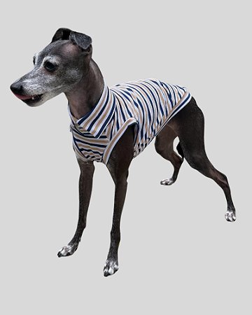 REGATA DE GALGO ALGODY LINE CARAMELO E MARINHO – sob encomenda