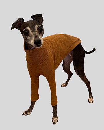 CACHARREL DE GALGO BRISA CARAMELO - sob encomenda