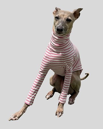 CACHARREL DE GALGO ALGODY LINE ROSE