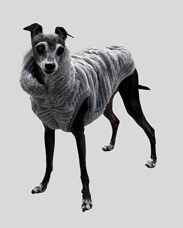 COLETE DE GALGO ASPEN CINZA - sob encomenda