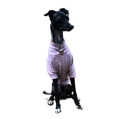 camisas galgo