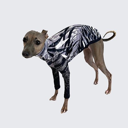 CACHARREL DE GALGO ITALIANO UV CINZA FOLHAS