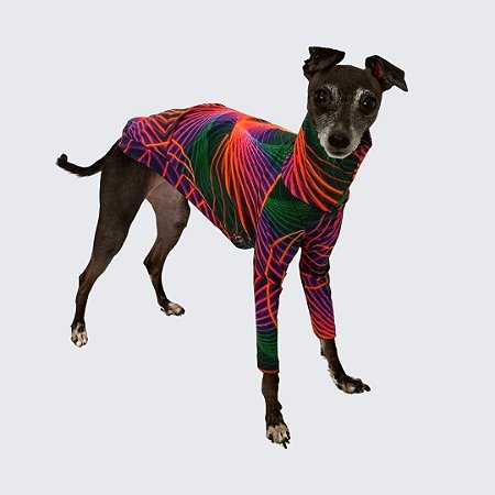 CACHARREL DE GALGO ITALIANO UV GEO COLOR