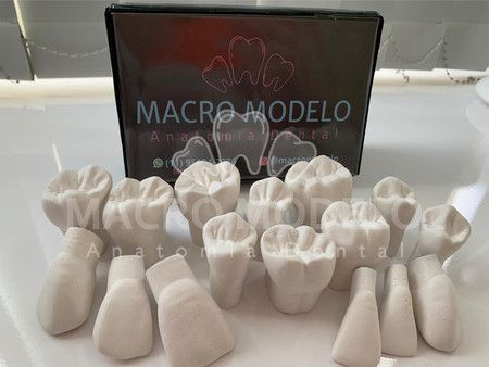 Kit Macro Modelo - Branco Jaleco