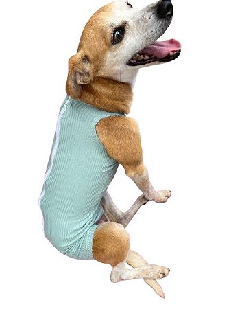 Roupa Pet Pós Cirúrgica - MACHO/FÊMEA